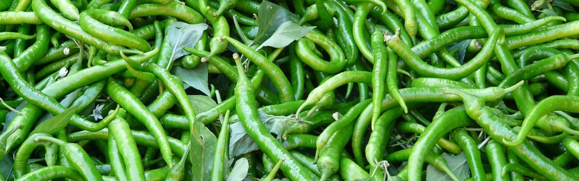 hot peppers, sharp, vegetables, market, market stall, green chillies, capsicum peppers, chili, chili peppers, nightshade plant, solanaceae, green chillies, green chillies, green chillies, green chillies, green chillies, chili